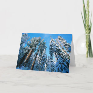 Cartão Gelo e neve Sequoia National Park, Califórnia
