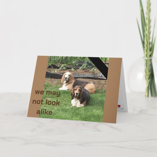 CARTÃO **GÊMEO FRATERNO** NO NOSSO ANIVERSÁRIO (Frente)