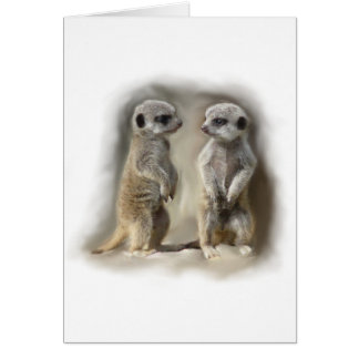Cartão Gêmeos do bebê de Meerkat