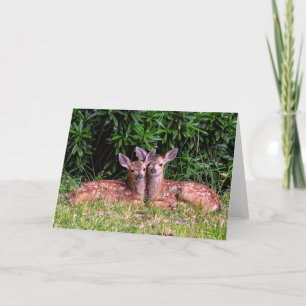 Cartão Gêmeos Fawn - Ilha Pender BC.
