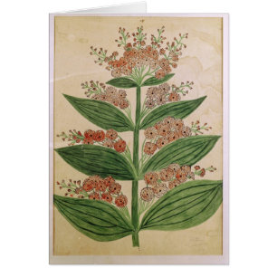 Cartão Genciana com flores imaginárias