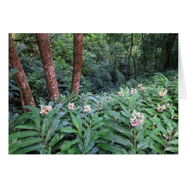 Cartão Gengibre havaiano (Frente Horizontal)