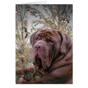 Cartão Gentil Lado - Mastiff neopolita