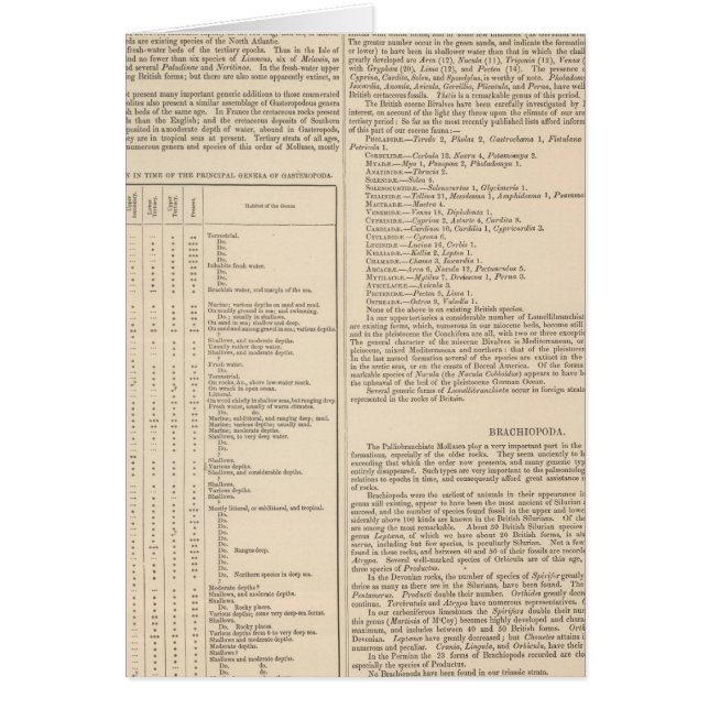 Cartão Geologia e Paleontologia das Ilhas Britânicas (Frente)