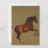 George Stubbs - Casaco de assobio