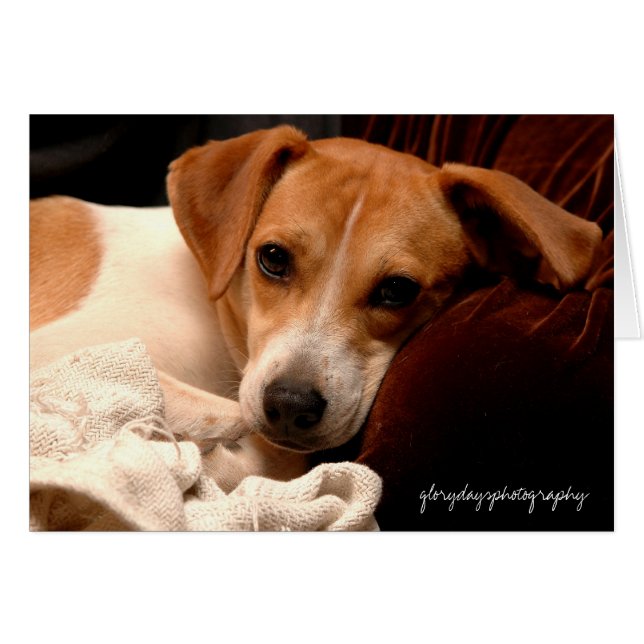 Cartão Geórgia, fotografia gloriosa do dia (Frente Horizontal)