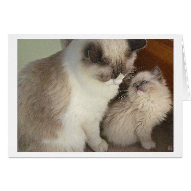 Cartão Gerações (Frente Horizontal)