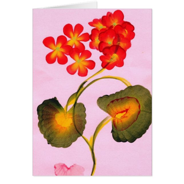 CARTÃO GERÂNIO (Frente)