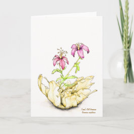 Cartão Gerânio aquarela de flor silvestre em branco por d