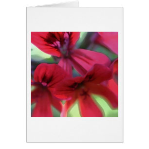 Cartão Gerânios pintados