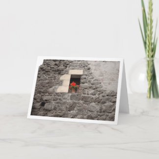 Cartão Geranium in Window