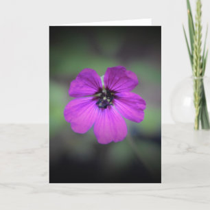 Cartão Geranium, placa