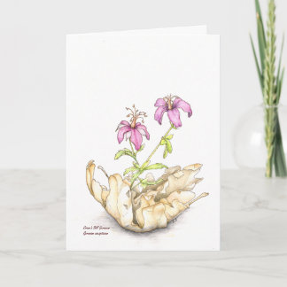 Cartão Geranium wildflower watercolor, blank inside