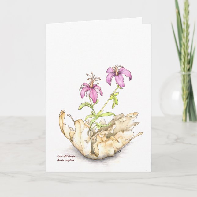 Cartão Geranium wildflower watercolor, blank inside (Frente)