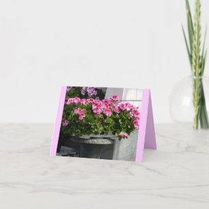 Cartão Geraniums Planter