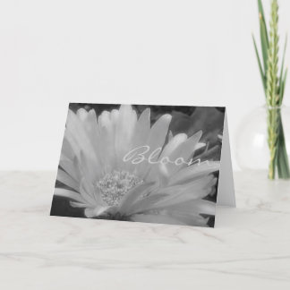 Cartão Gerber Daisy Bloom Card