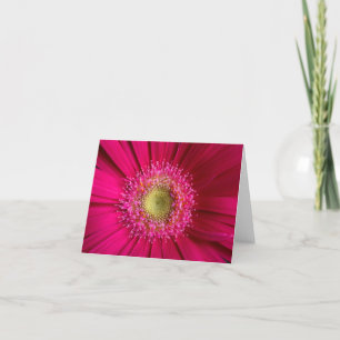 Cartão Gerbera Daisy Card