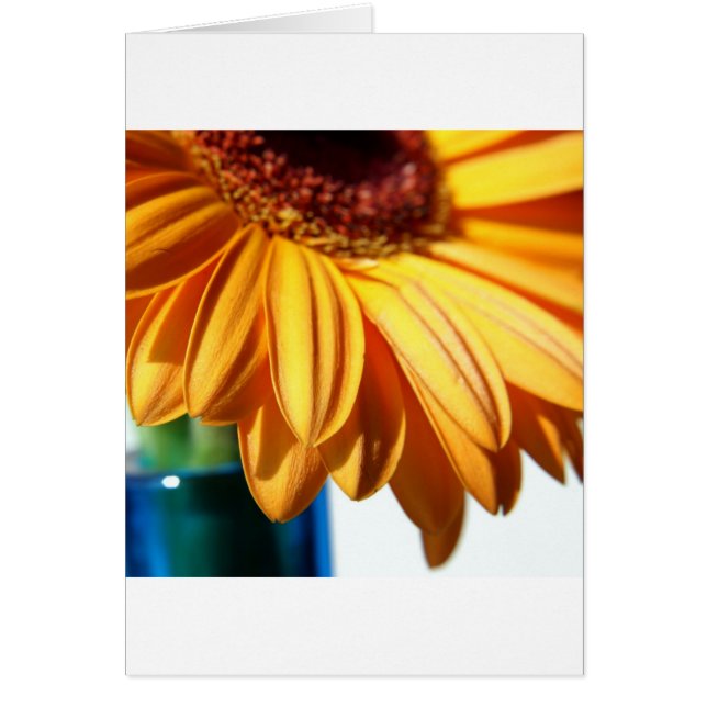 Cartão Gerbera em Blue Vase (Frente)