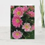 Cartão Gerbera Flowers<br><div class="desc">Pink gerbera daisy flowers</div>