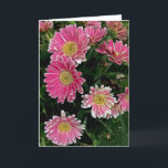 Cartão Gerbera Flowers<br><div class="desc">Pink gerbera daisy flowers</div>