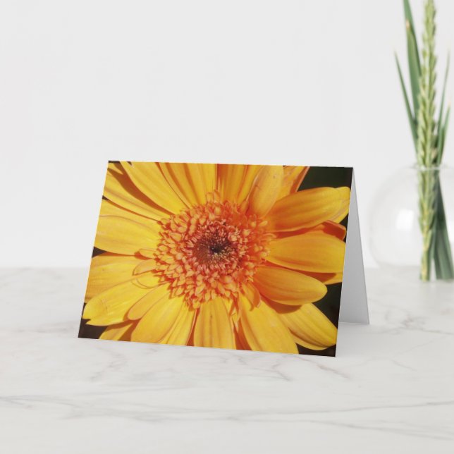 Cartão Gerbera Greeting Card (Frente)