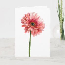 Cartão Gerbera Margarida Rosa Aquarela Jardim Amante da N