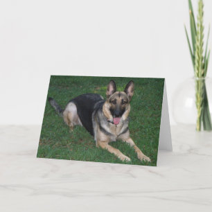 Cartão German shepherd