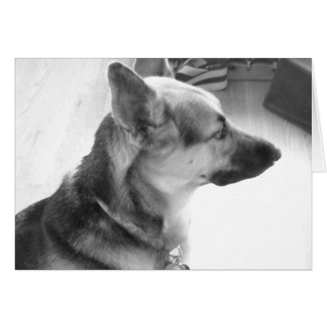 Cartão German shepherd (Frente Horizontal)