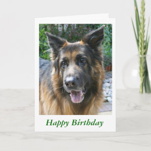 Cartão German shepherd