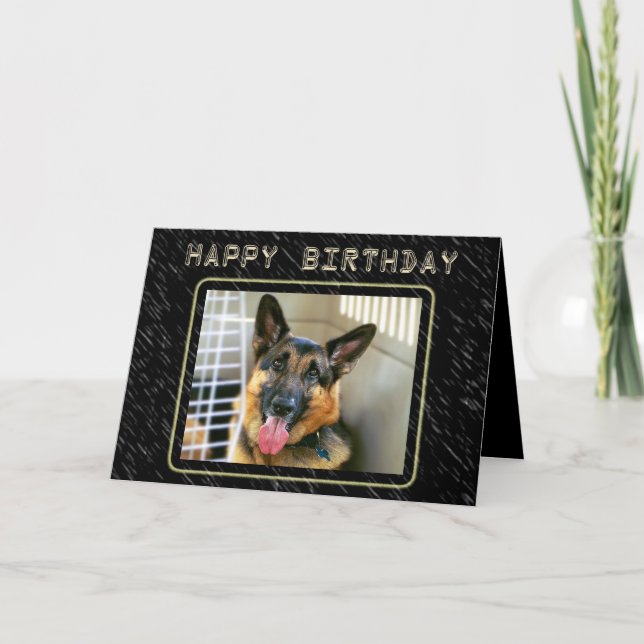 Cartão German Shepherd Birthday Card (Frente)