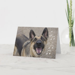 Cartão German Shepherd Birthday Card