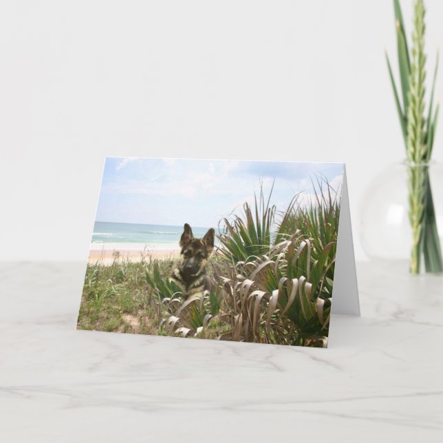 Cartão German Shepherd Card Beachgrass (Frente)