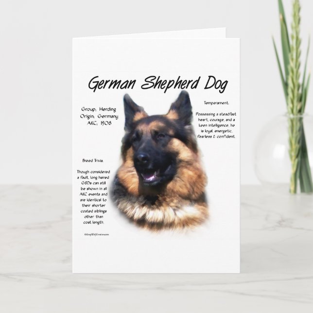 Cartão German Shepherd Dog (longhair) History Design (Frente)