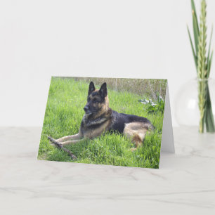 Cartão German Shepherd Fathers Day