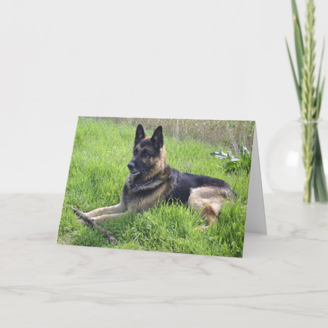 Cartão German Shepherd Fathers Day (Frente)