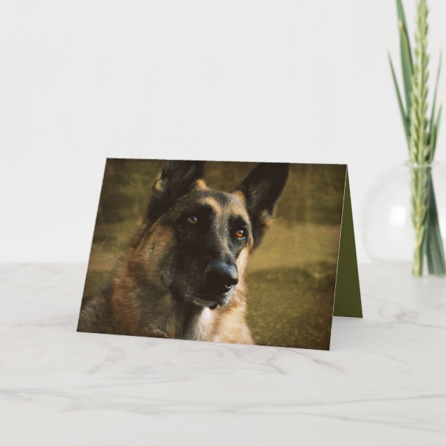 Cartão German Shepherd Greeting Card (Frente)