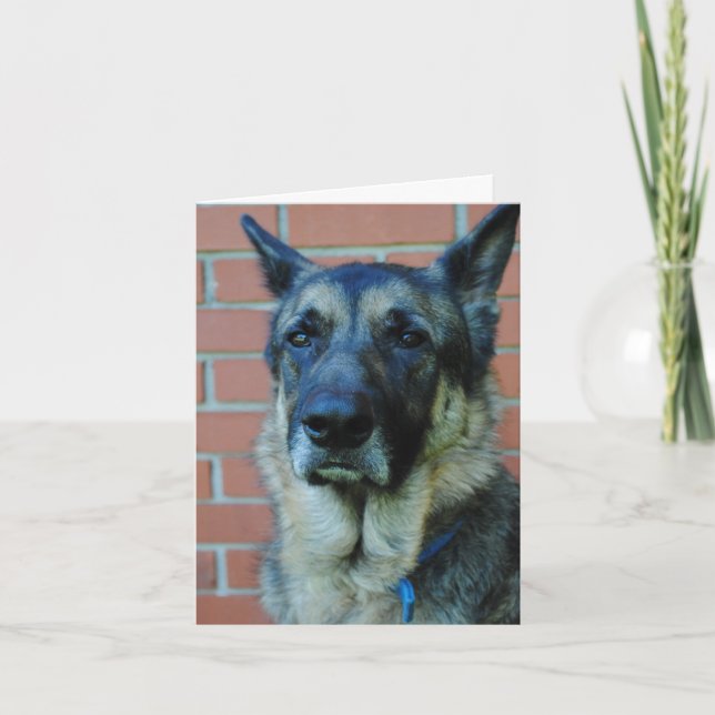 Cartão German Shepherd Happy Fathers Day Card (Frente)