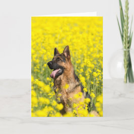 Cartão German Shepherd in mustard seed greeting card
