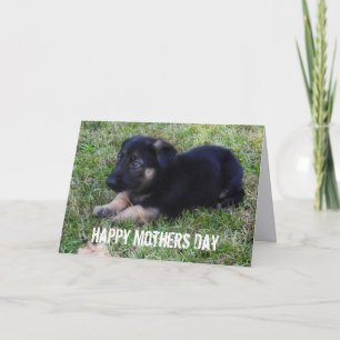 Cartão German Shepherd: Mothers Day Card