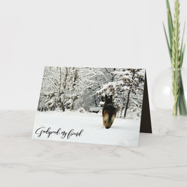 Cartão German Shepherd Pet Loss Sympathy (Frente)