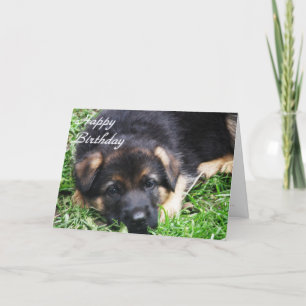 Cartão German Shepherd Puppy - Birthday card