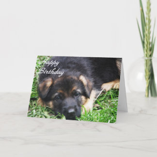 Cartão German Shepherd Puppy - Birthday card