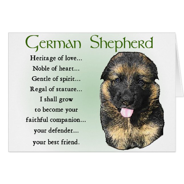 Cartão German Shepherd Puppy Gifts (Frente Horizontal)