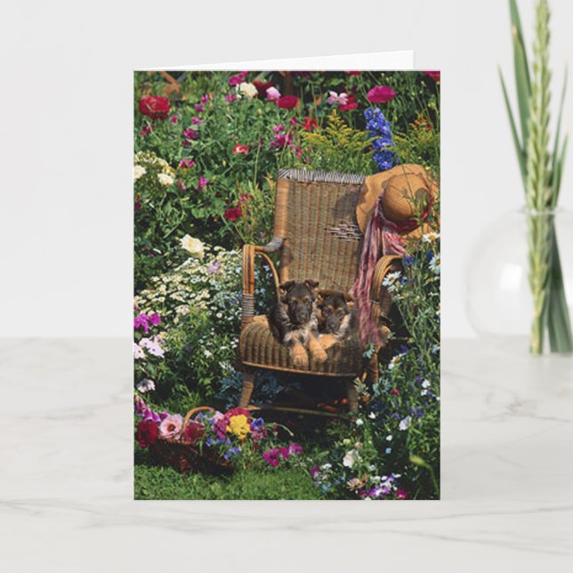 Cartão German Shepherd Pups Card Garden (Frente)