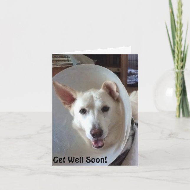 Cartão German Shepherd Rescue Central Texas Get Well Card (Frente)