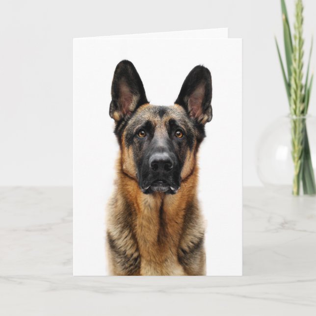 Cartão German Shepherd Sitting Up (Frente)