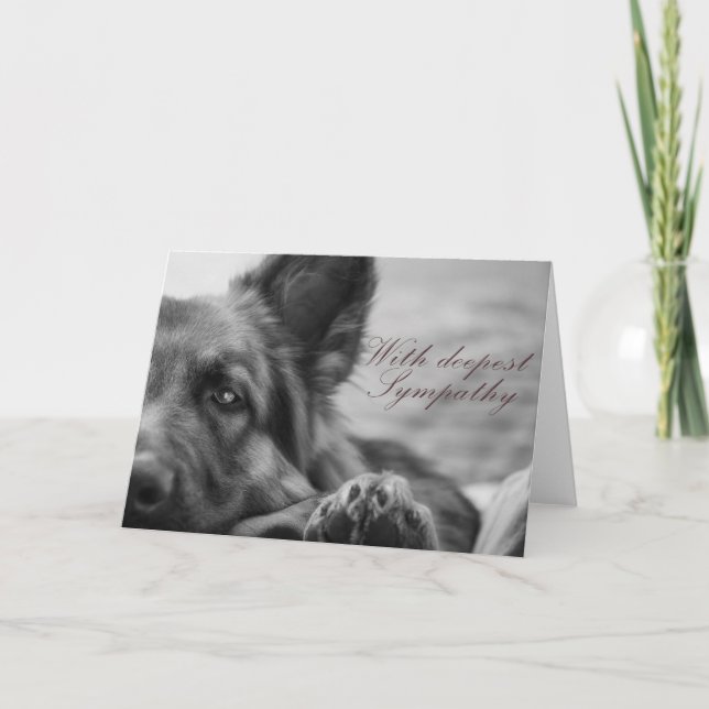 Cartão German shepherd sympathy card. (Frente)