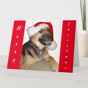 Cartão German shepherd vestindo um Chapéu do Papai Noel
