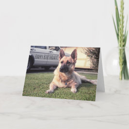 Cartão German Shepherd, Watchful Birthday Pet Lover Dog