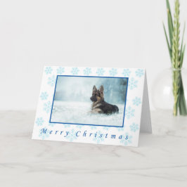 Cartão German shepherd winter christmas cards.